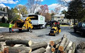 Lawn Maintenance Plans in Hillsboro Beach, FL