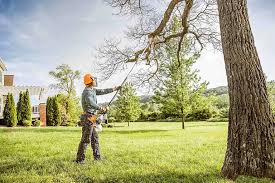 Best Firewood Processing and Delivery  in Hillsboro Beach, FL